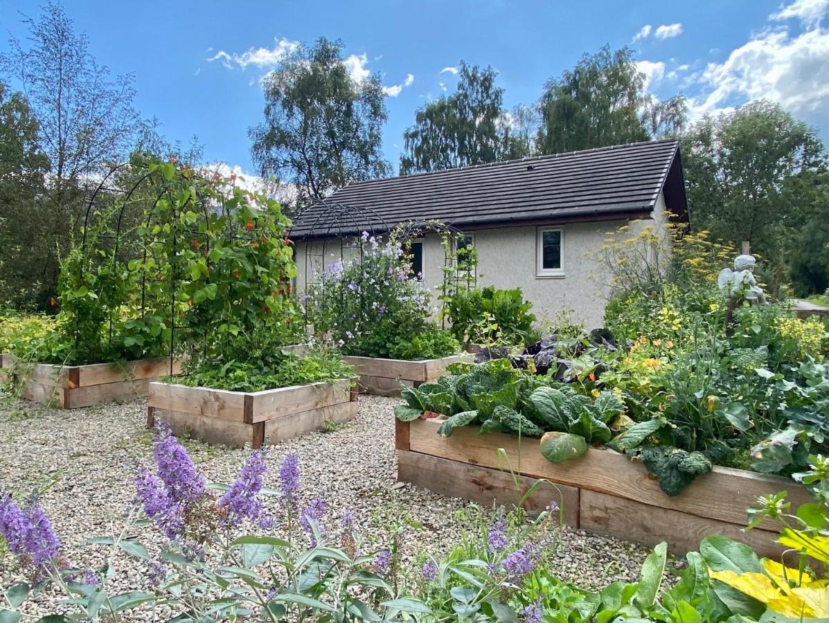Homestead Cottage, フォート・オーガスタス エクステリア 写真
