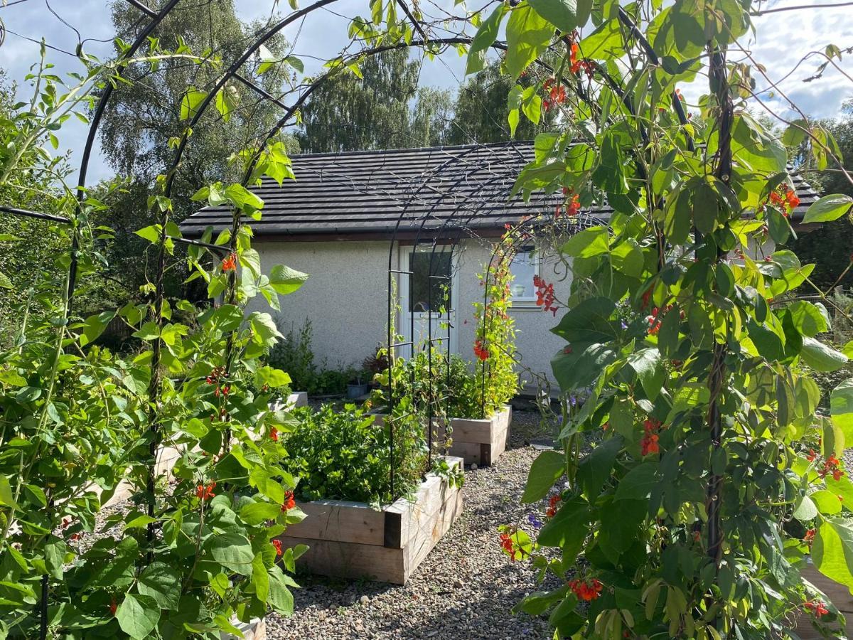 Homestead Cottage, フォート・オーガスタス エクステリア 写真
